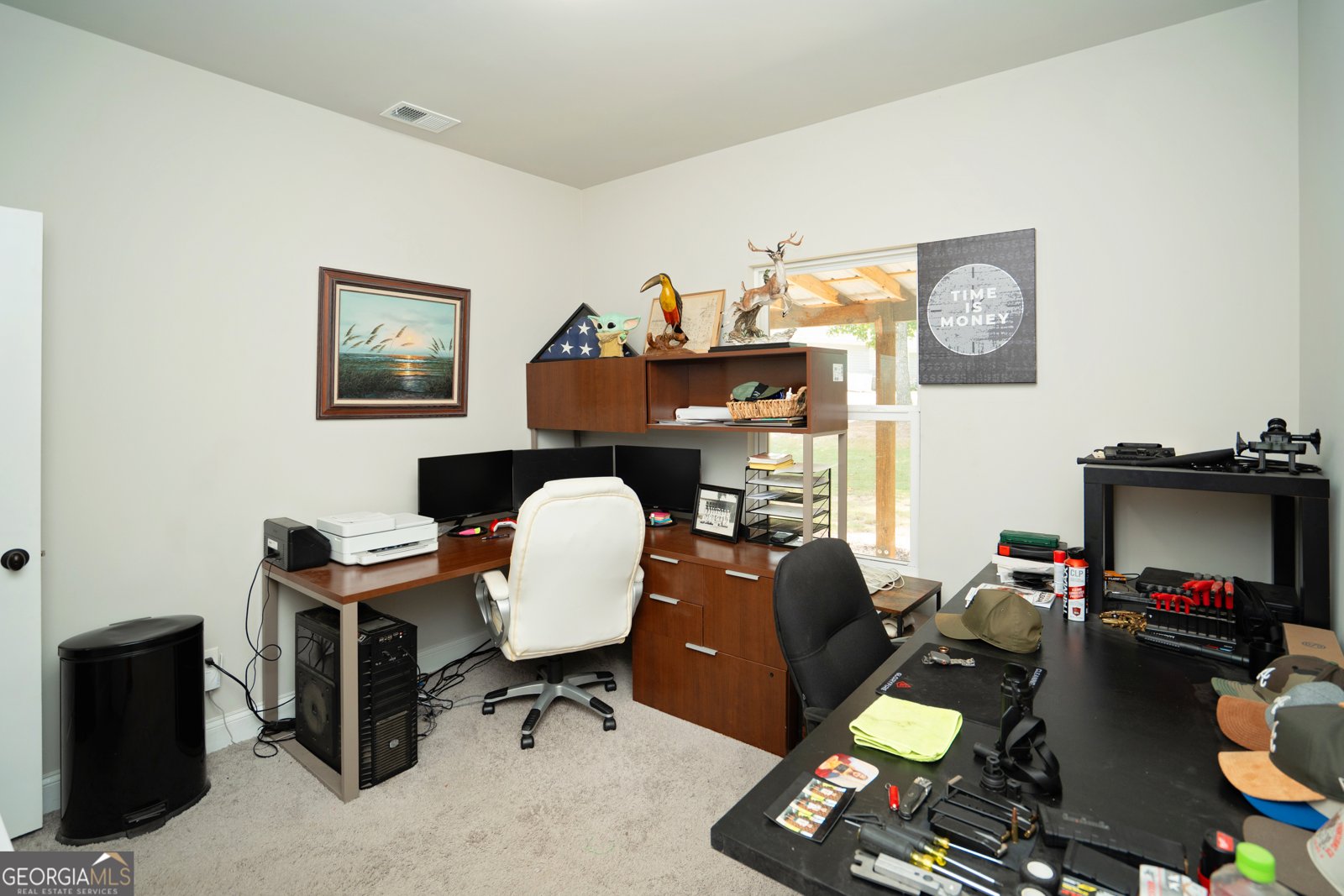207 Dixon Circle Williamson - 47