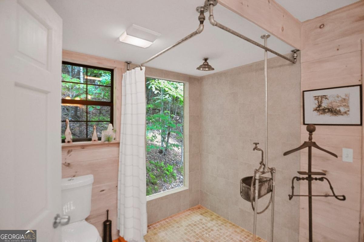 368 Green Ridge Mountain Rd Blue Ridge - 4