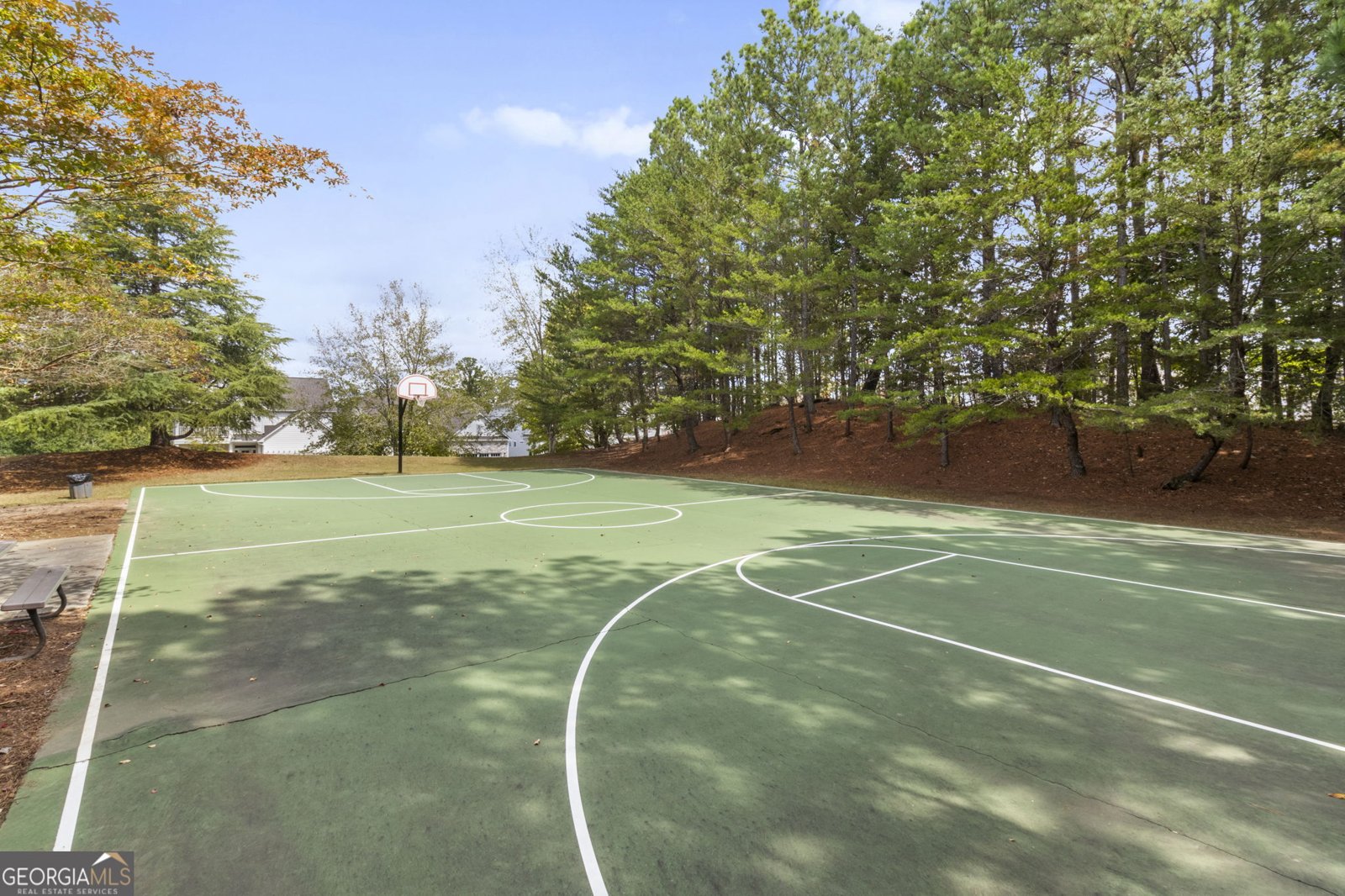 337 Mountain Laurel Walk Canton - 42