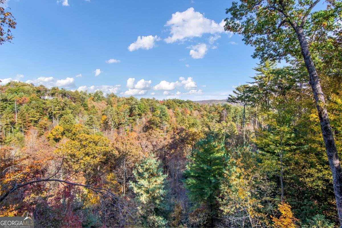 305 Skybound Rd Blue Ridge - 4