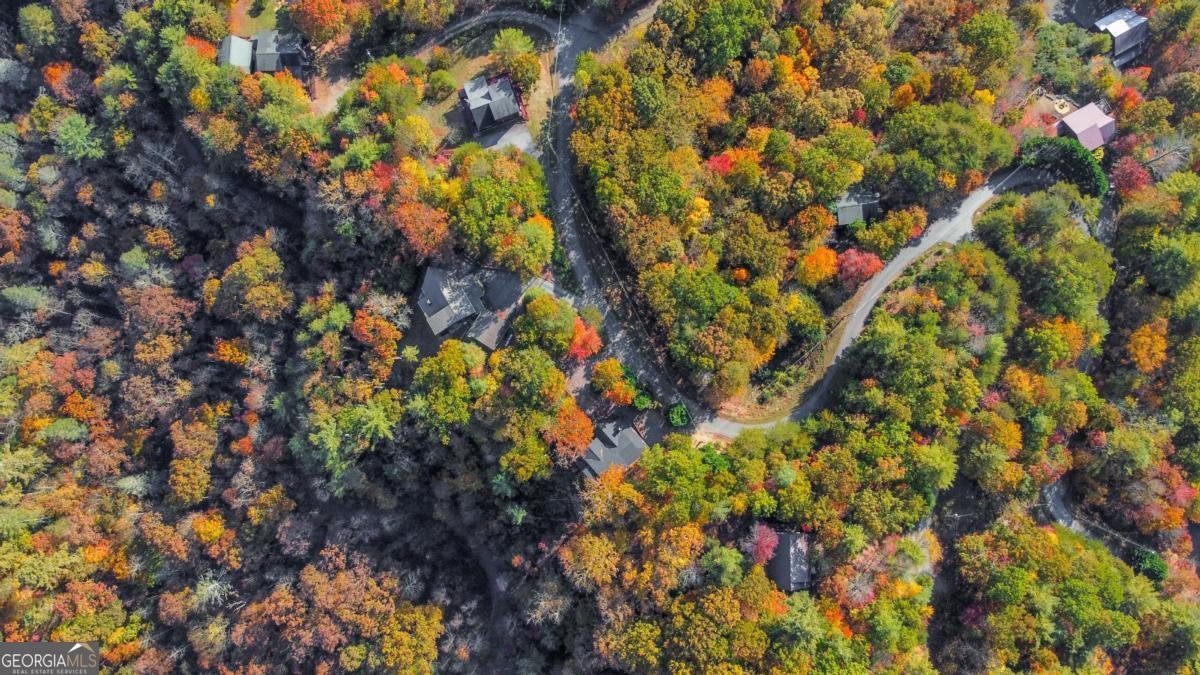 305 Skybound Road Blue Ridge - 49