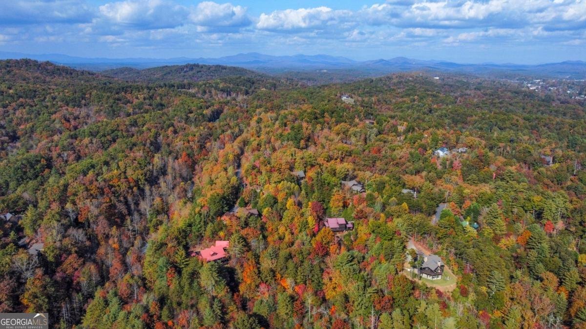 305 Skybound Rd Blue Ridge - 6