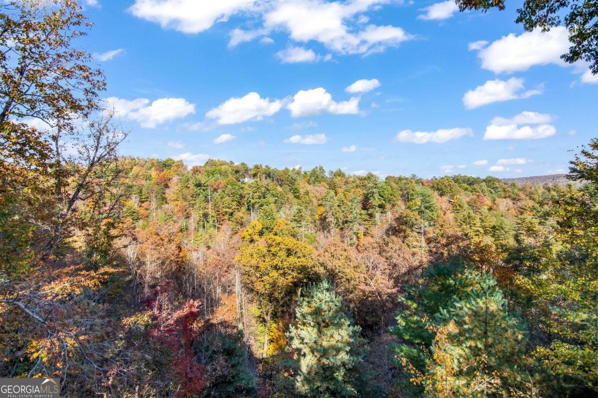305 Skybound Rd Blue Ridge - 7
