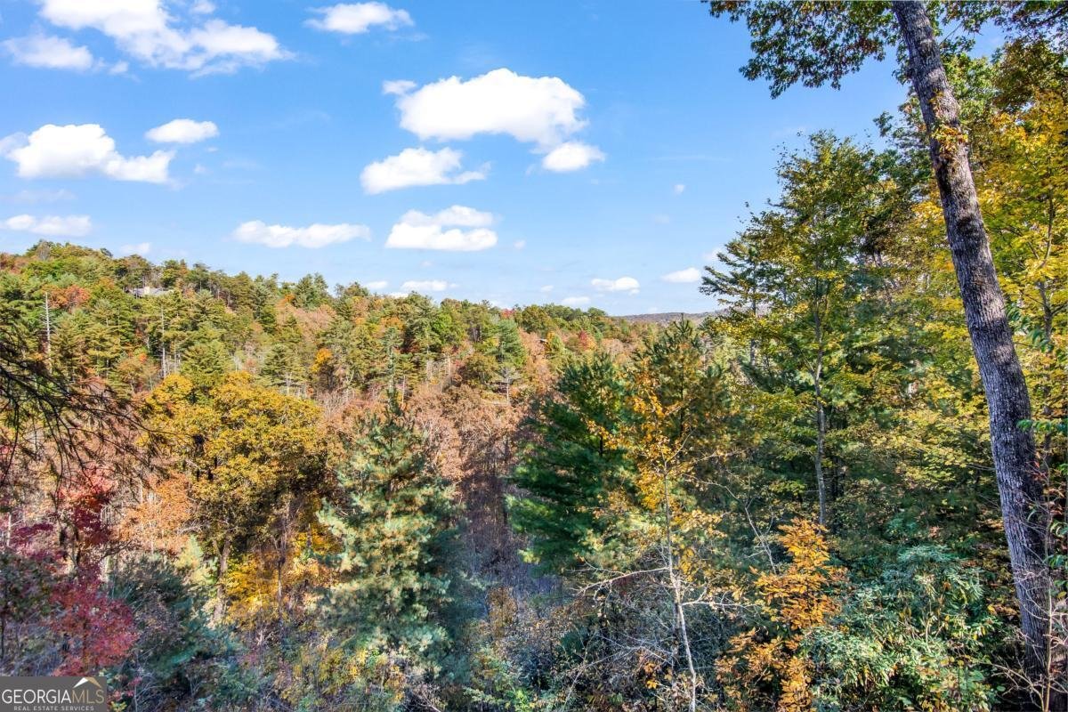 305 Skybound Rd Blue Ridge - 9