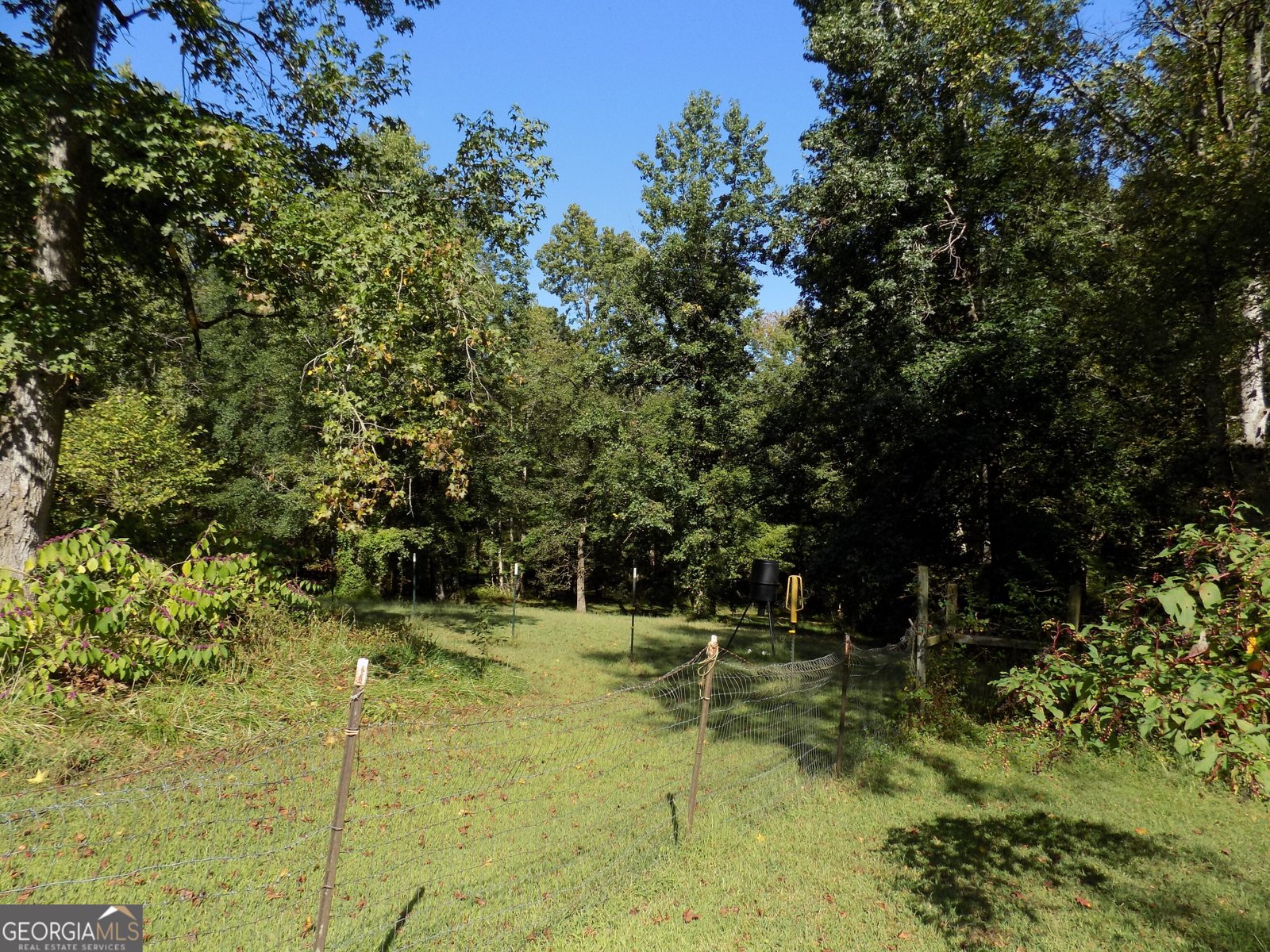 616 Dogwood Trail Dallas - 3