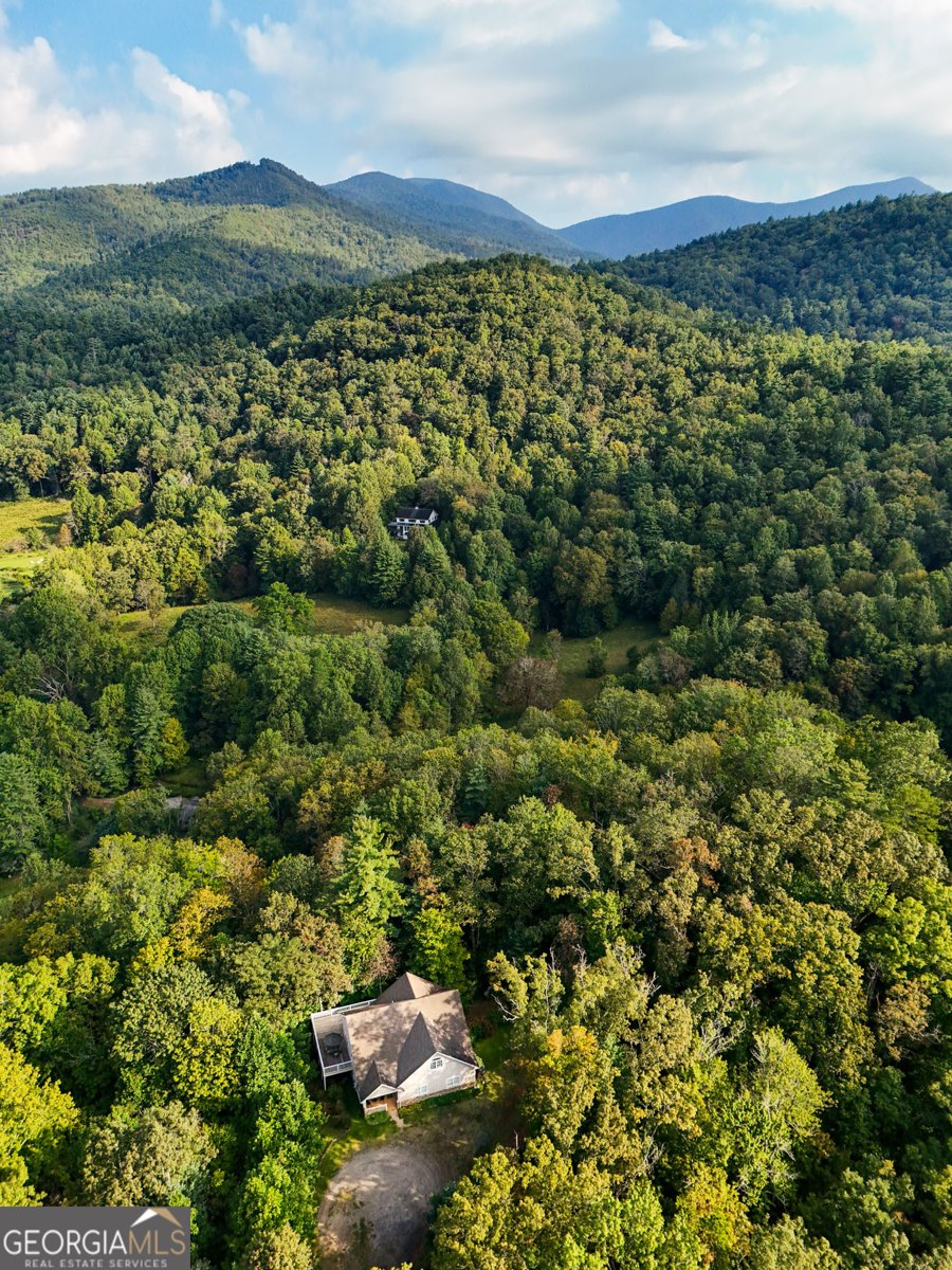 1068 Coleman River Road Clayton - 68