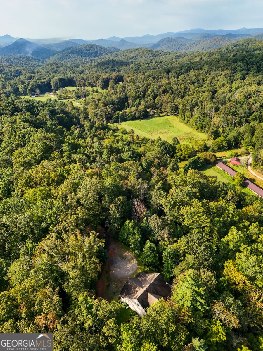 1068 Coleman River Road Clayton - 69
