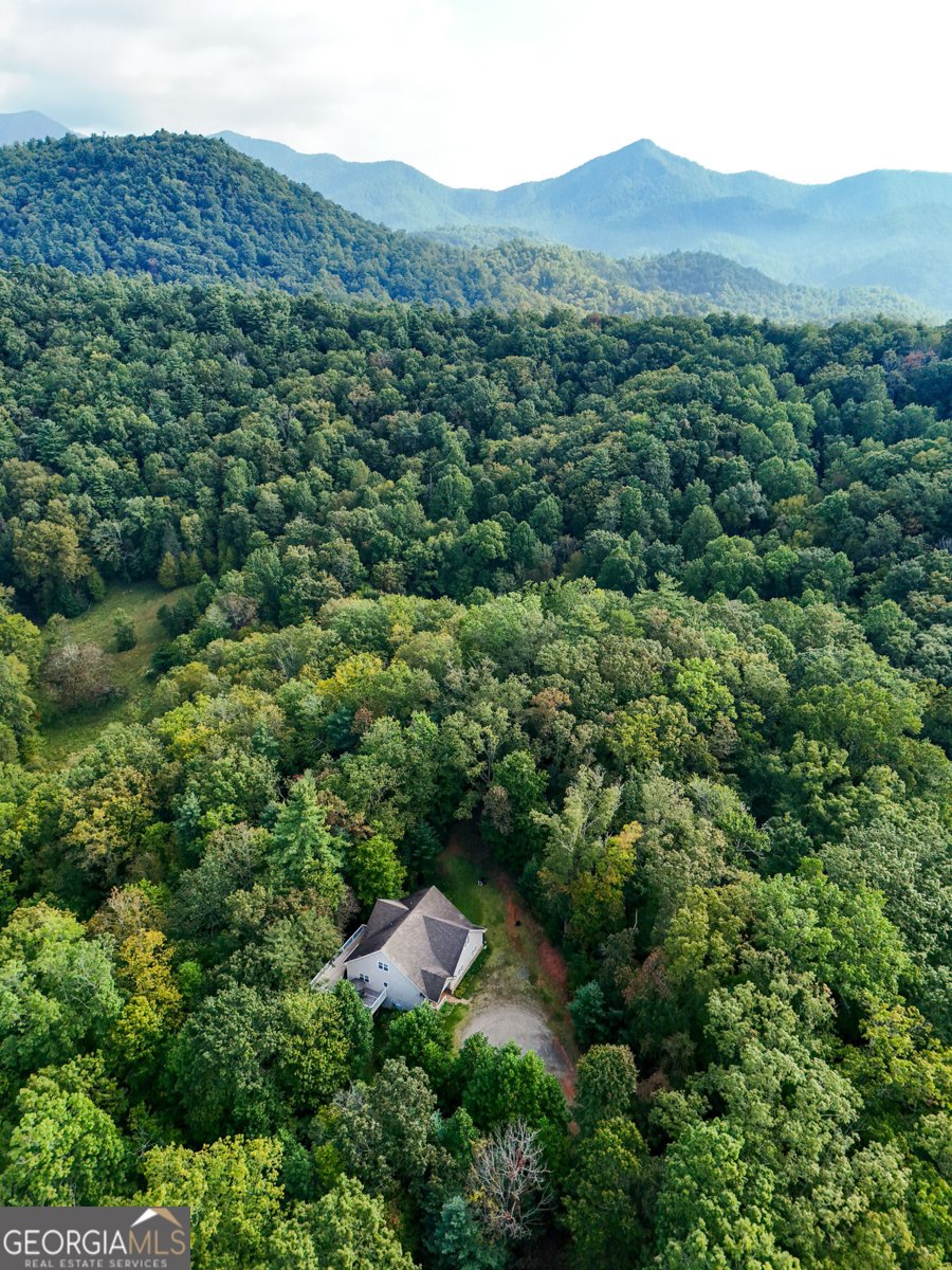 1068 Coleman River Road Clayton - 71
