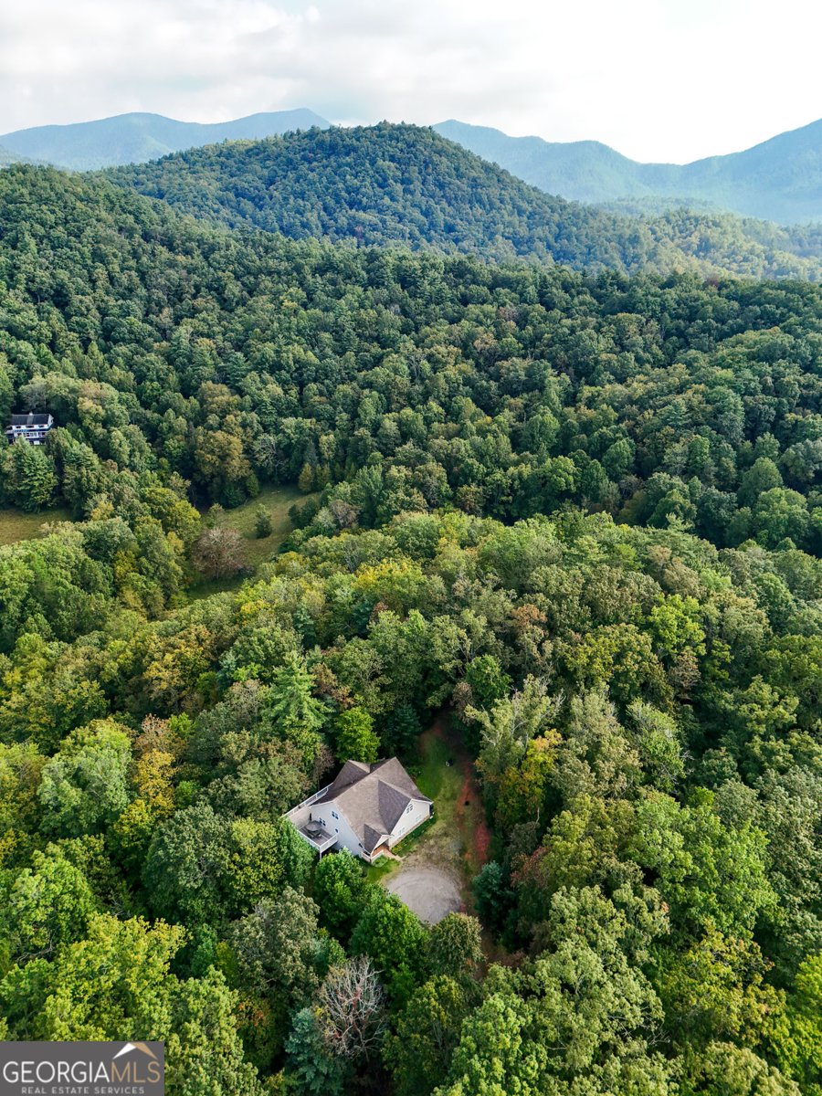 1068 Coleman River Road Clayton - 72