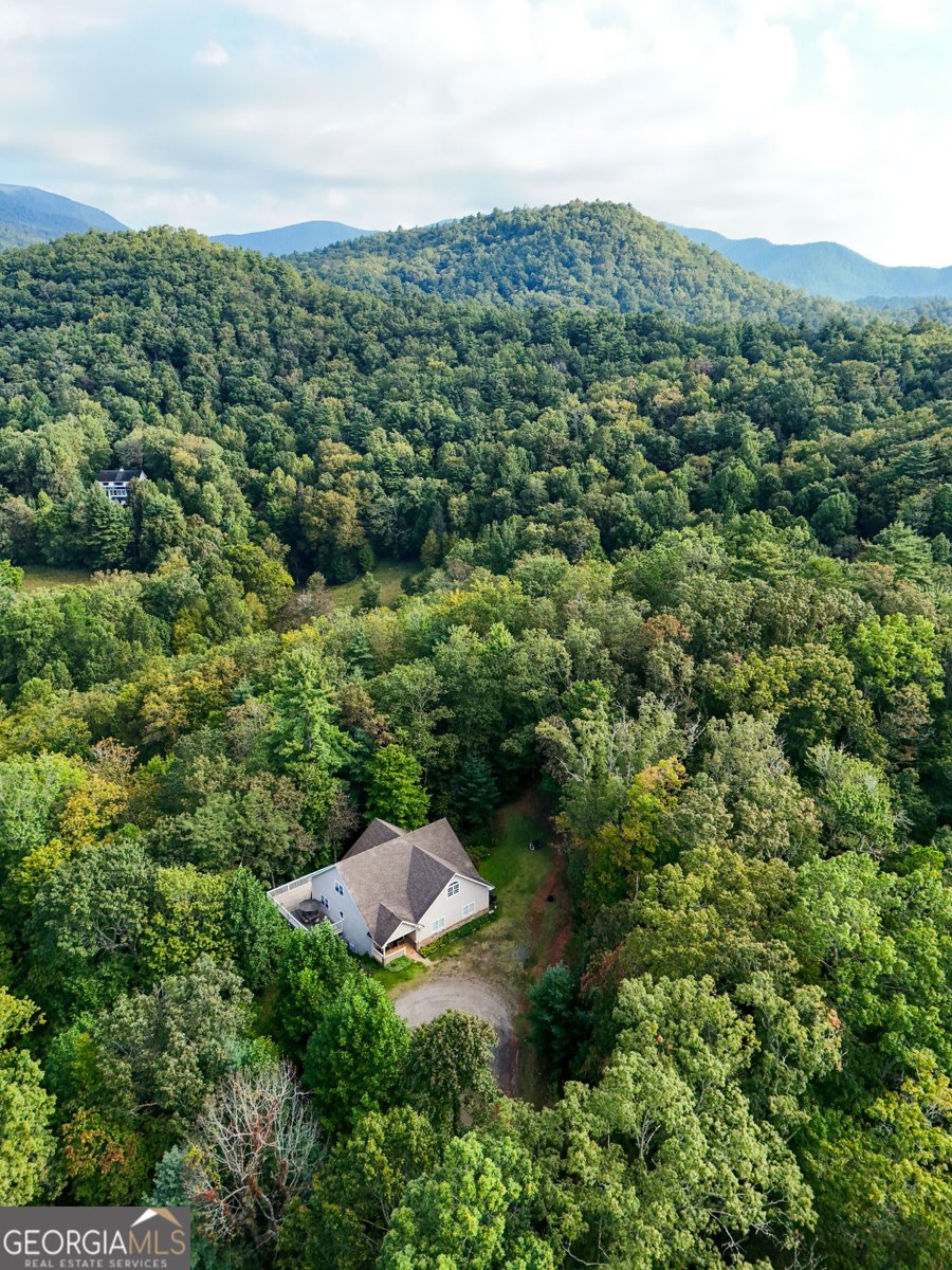 1068 Coleman River Road Clayton - 73