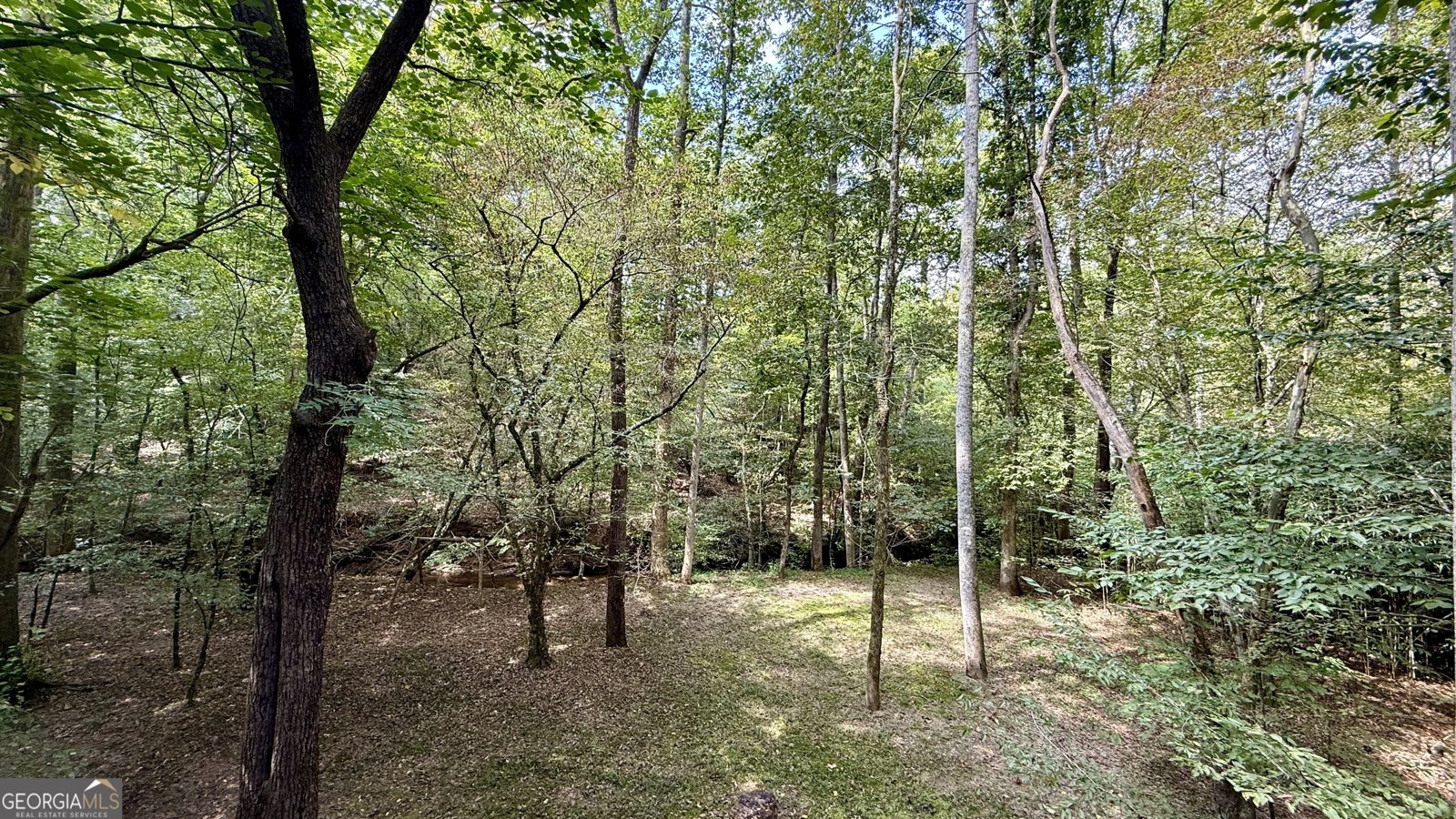 922 Amys Ford Trail Cleveland - 31