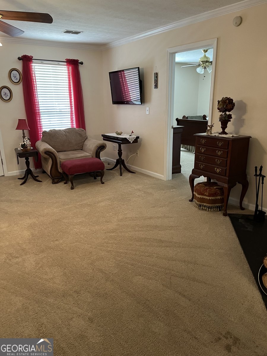 79 Minnie Mill Lane Warm Springs - 6