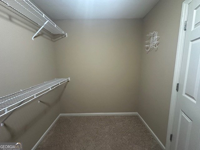 4265 Shelby Lane Valdosta - 22