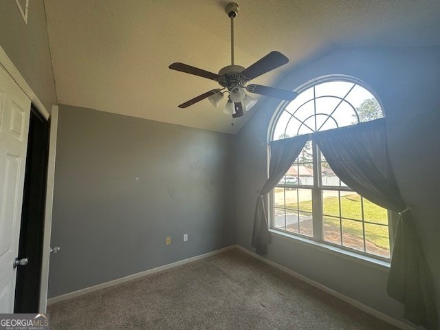 4265 Shelby Lane Valdosta - 32