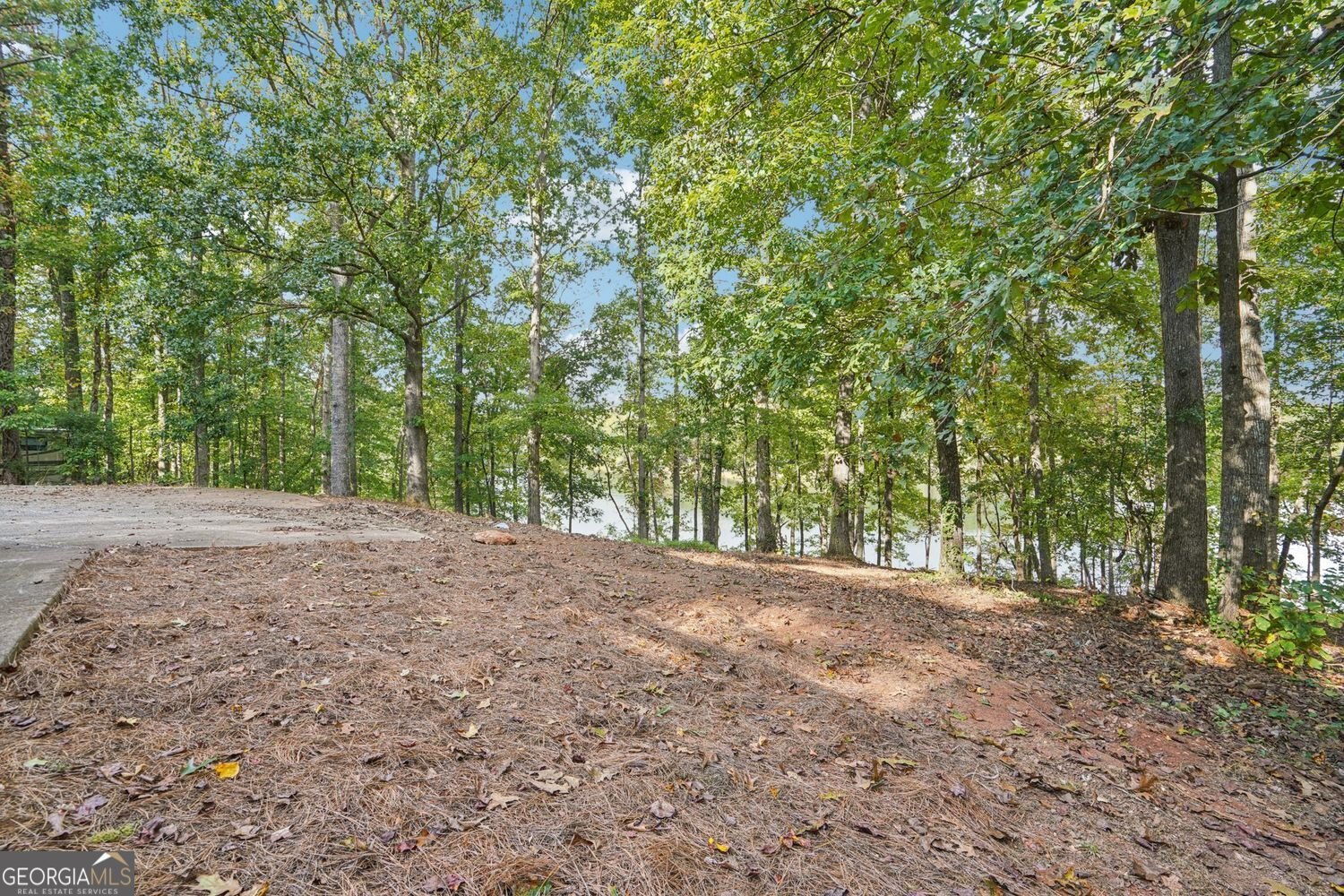6340 Lakeview Terrace Douglasville - 17
