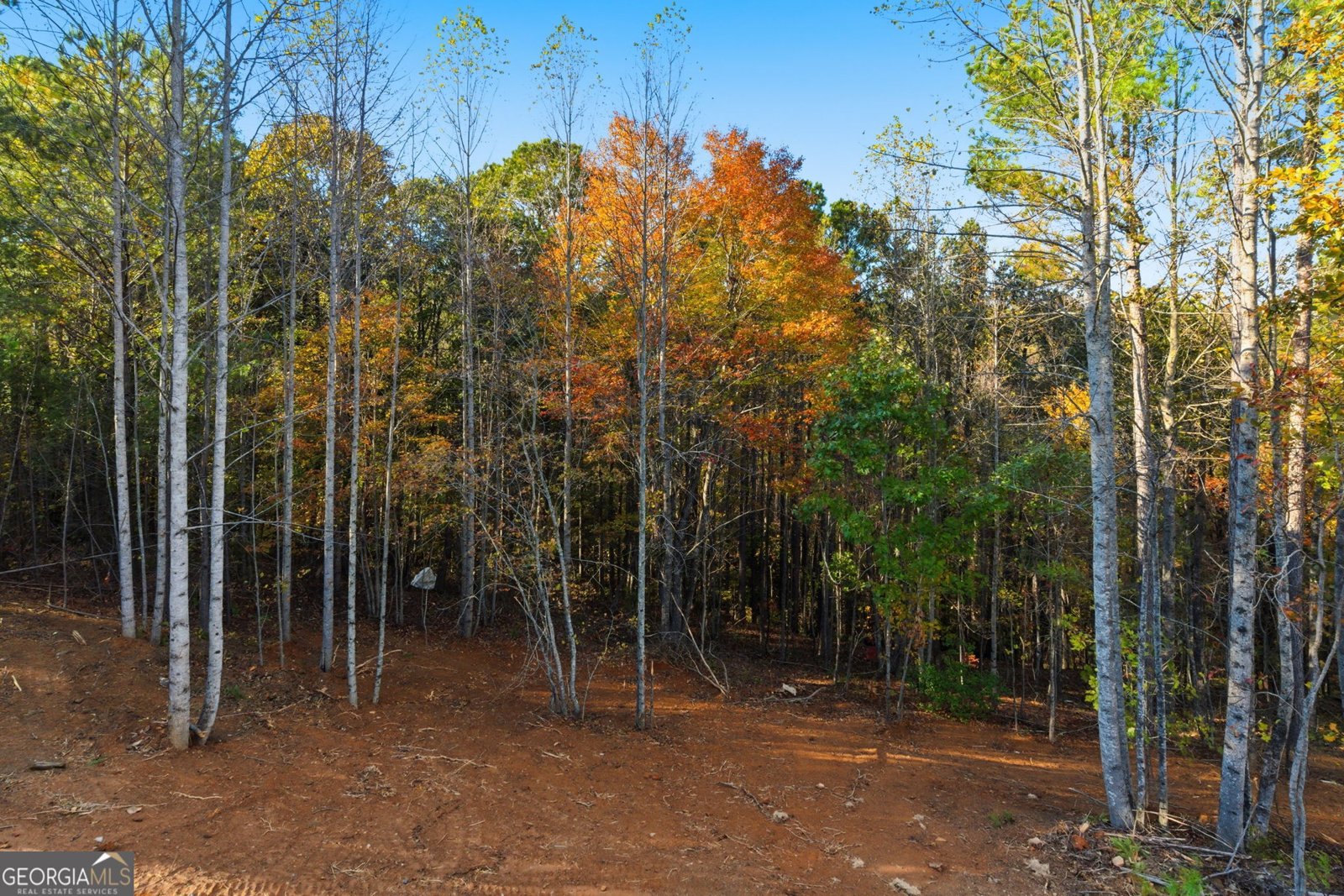 165 Field Stone Circle Jasper - 35