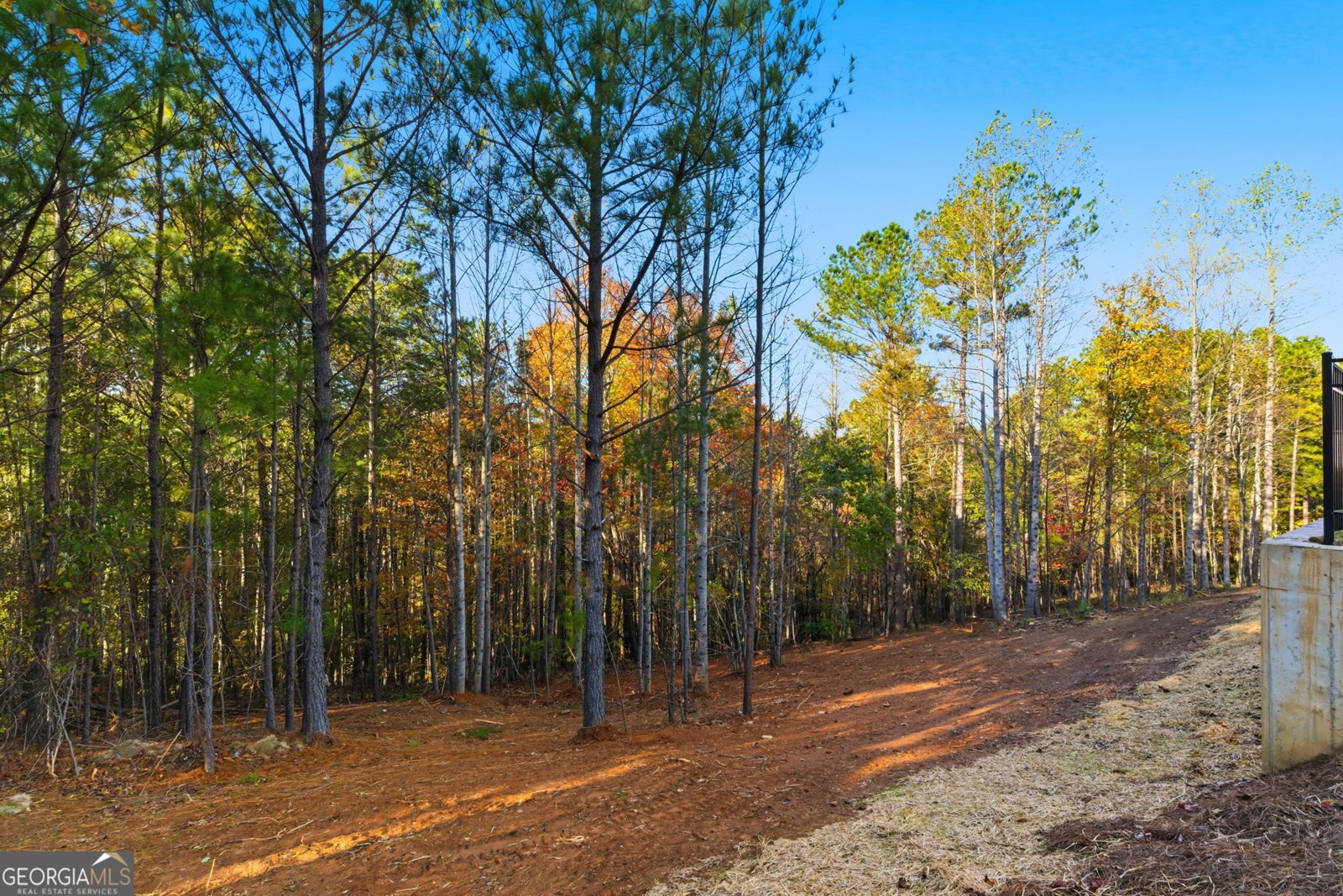 165 Field Stone Circle Jasper - 36