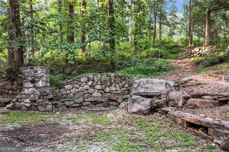 4724 Dudley Lane Atlanta - 50