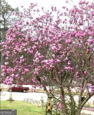 3032 Ross Road Snellville - 1