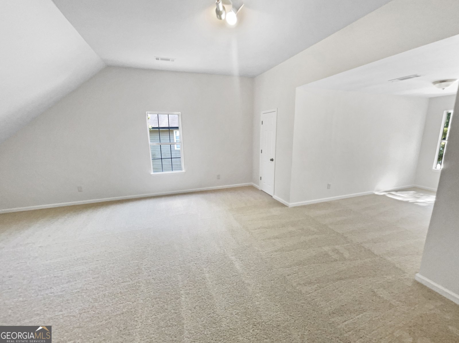 4469 White Hill Place Douglasville - 19