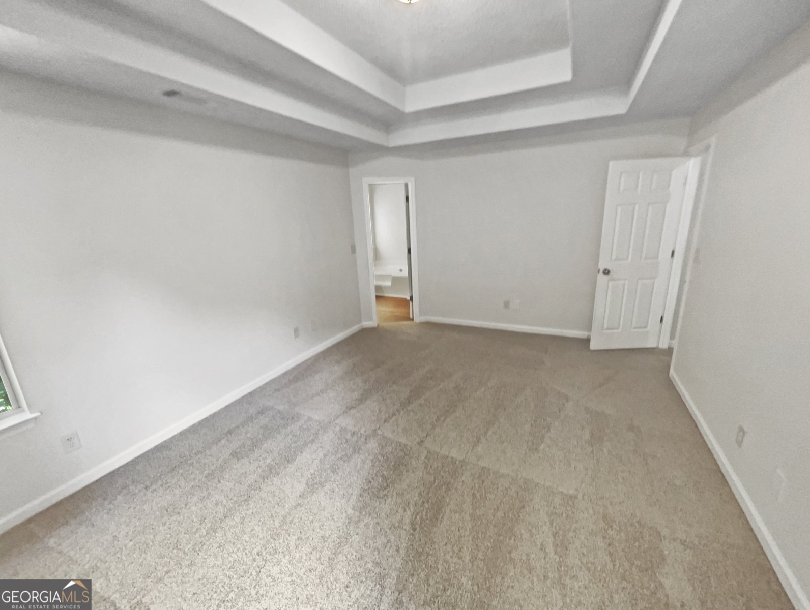 4469 White Hill Place Douglasville - 22