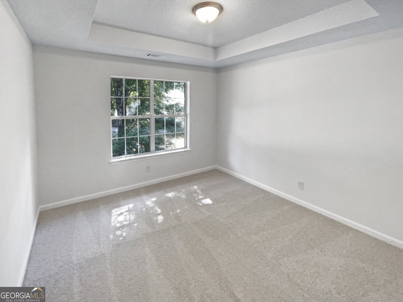 4469 White Hill Place Douglasville - 5