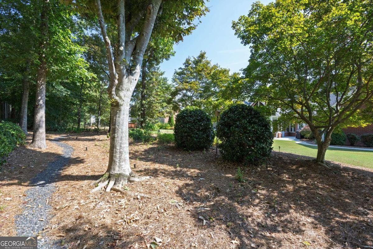 403 Wild Iris Lane Powder Springs - 7