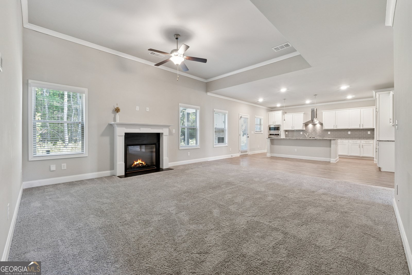 465 Brown Dove Lane Grayson - 14