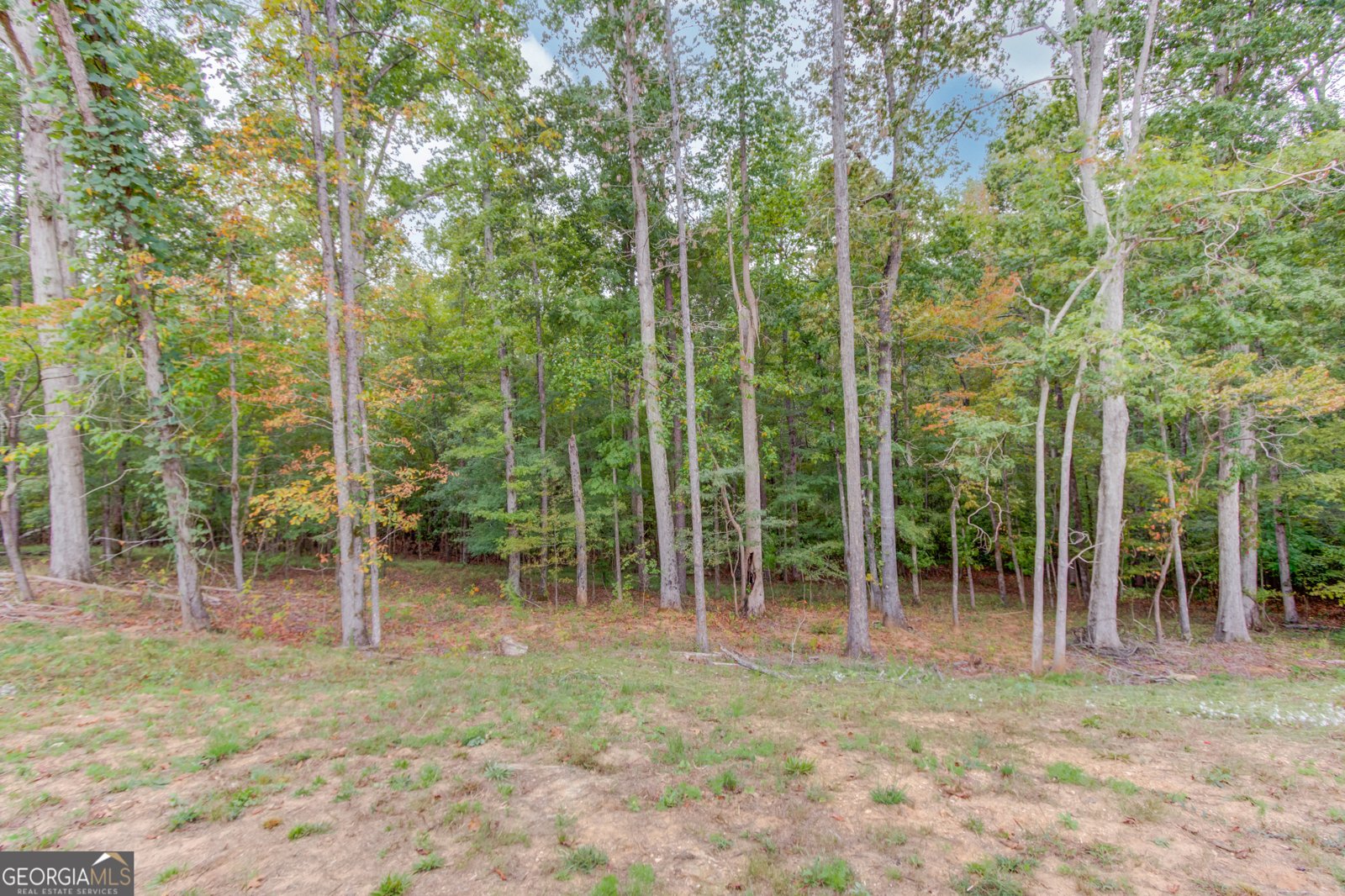 1077 Riverstone Drive Social Circle - 39