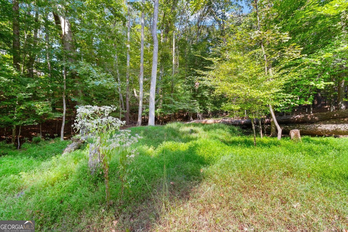 1670 Riverside Road Roswell - 81
