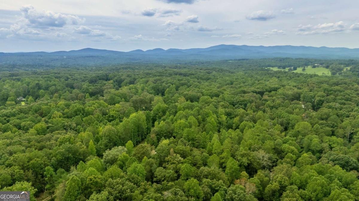 237 Nugget Ridge Road Dawsonville - 56
