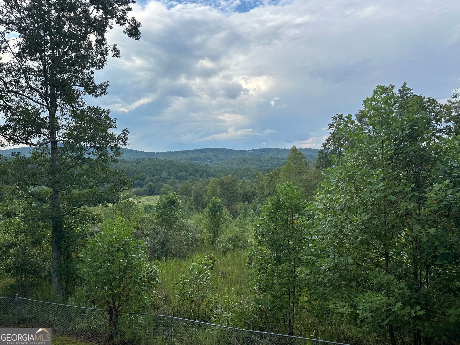 162 Beaver Ridge Road Blairsville - 33