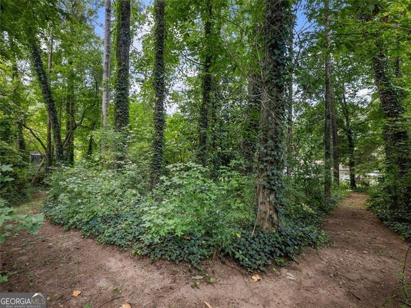 1500 LUCELLE Stone Mountain - 38