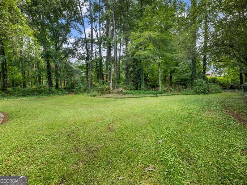 1500 LUCELLE Stone Mountain - 81