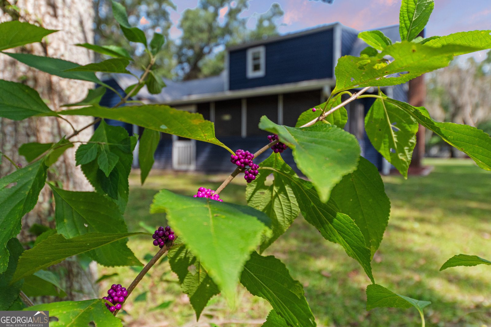 183 White Oak Place Woodbine - 23