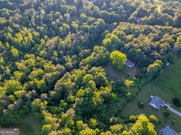 222 North Mize Road Mount Airy - 42