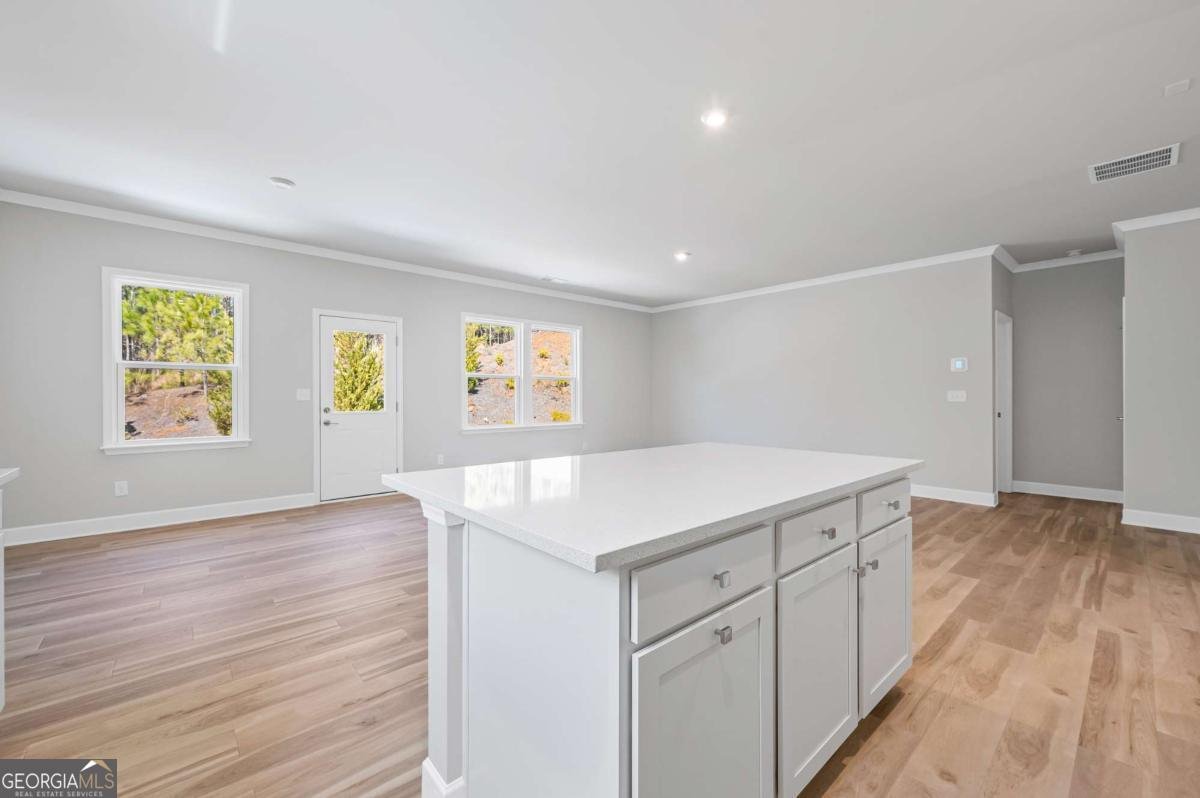 219 Park Lane Fairburn - 9