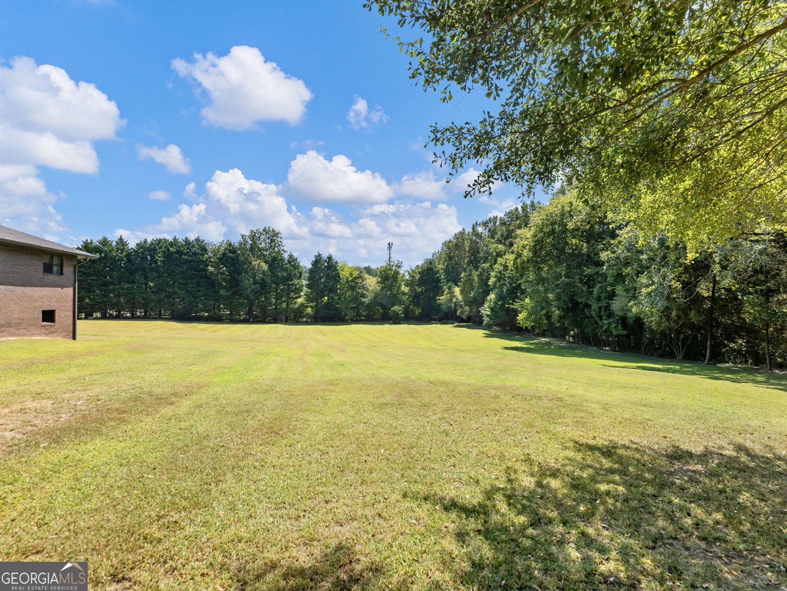3125 Bart Johnson Road Buford - 27