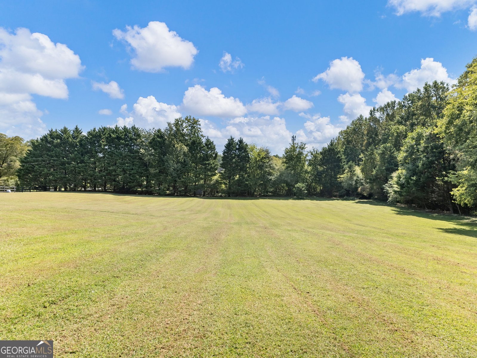 3125 Bart Johnson Road Buford - 28