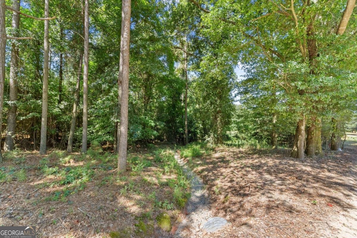 318 Jim Grizzle Road Royston - 36