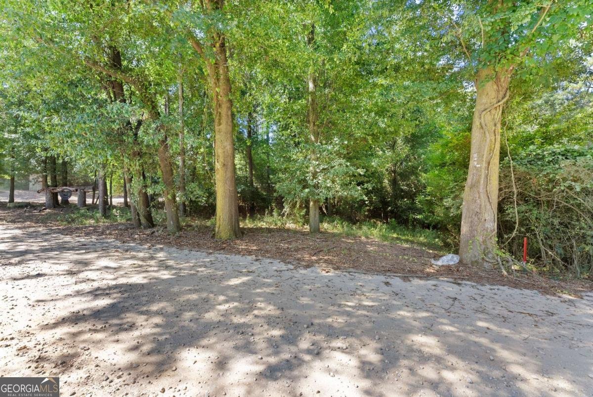 318 Jim Grizzle Road Royston - 37