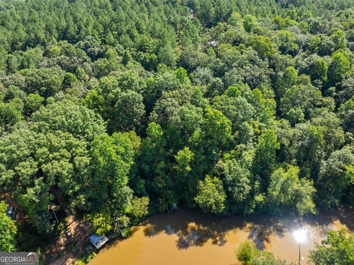 318 Jim Grizzle Road Royston - 56