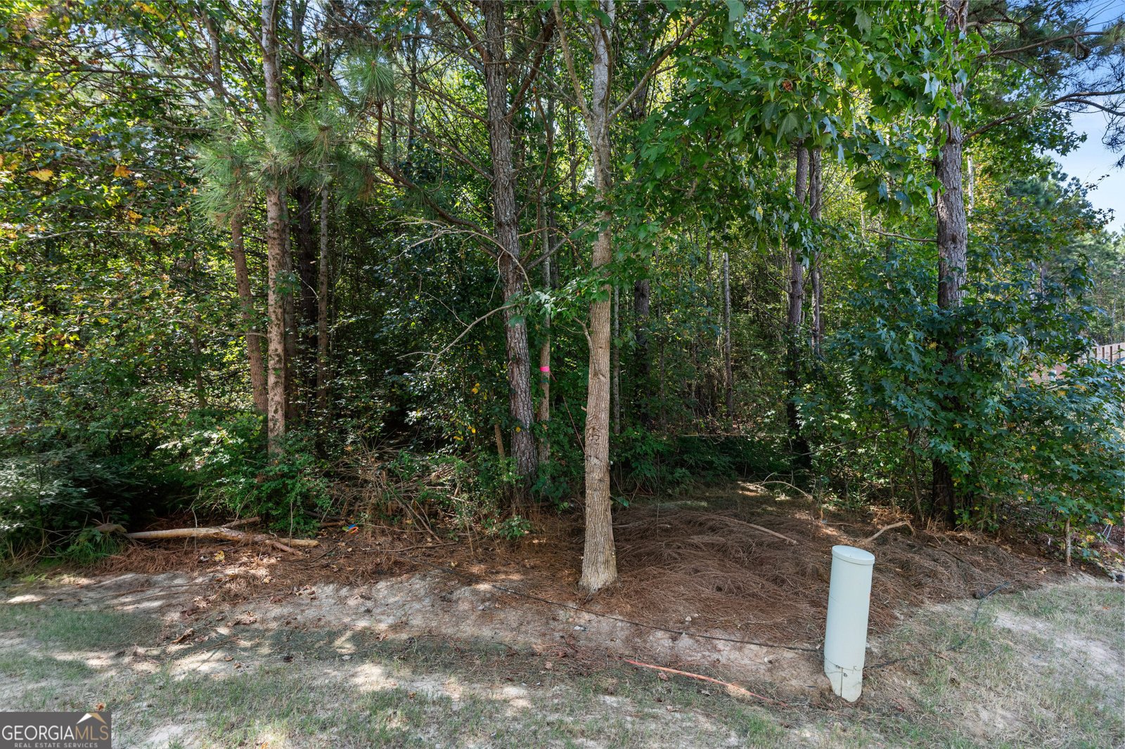 29 Kielder Drive Winder - 14