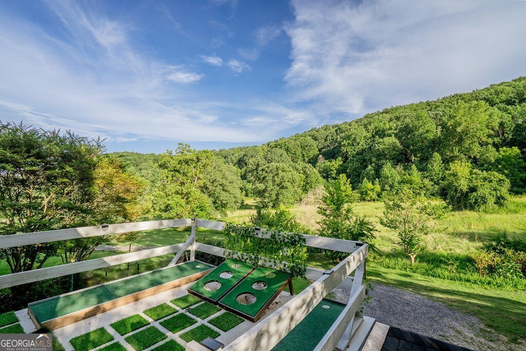 1461 Houston Valley Road Ringgold - 58