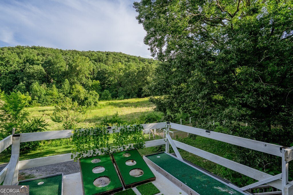 1461 Houston Valley Road Ringgold - 59