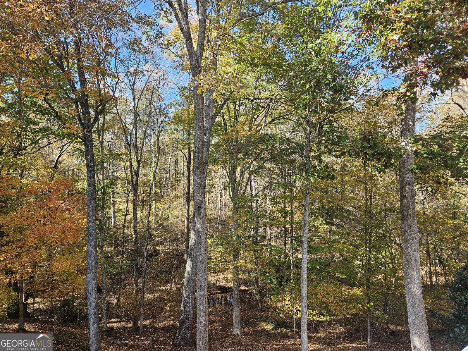 3286 Standing Peachtree Trail Kennesaw - 44