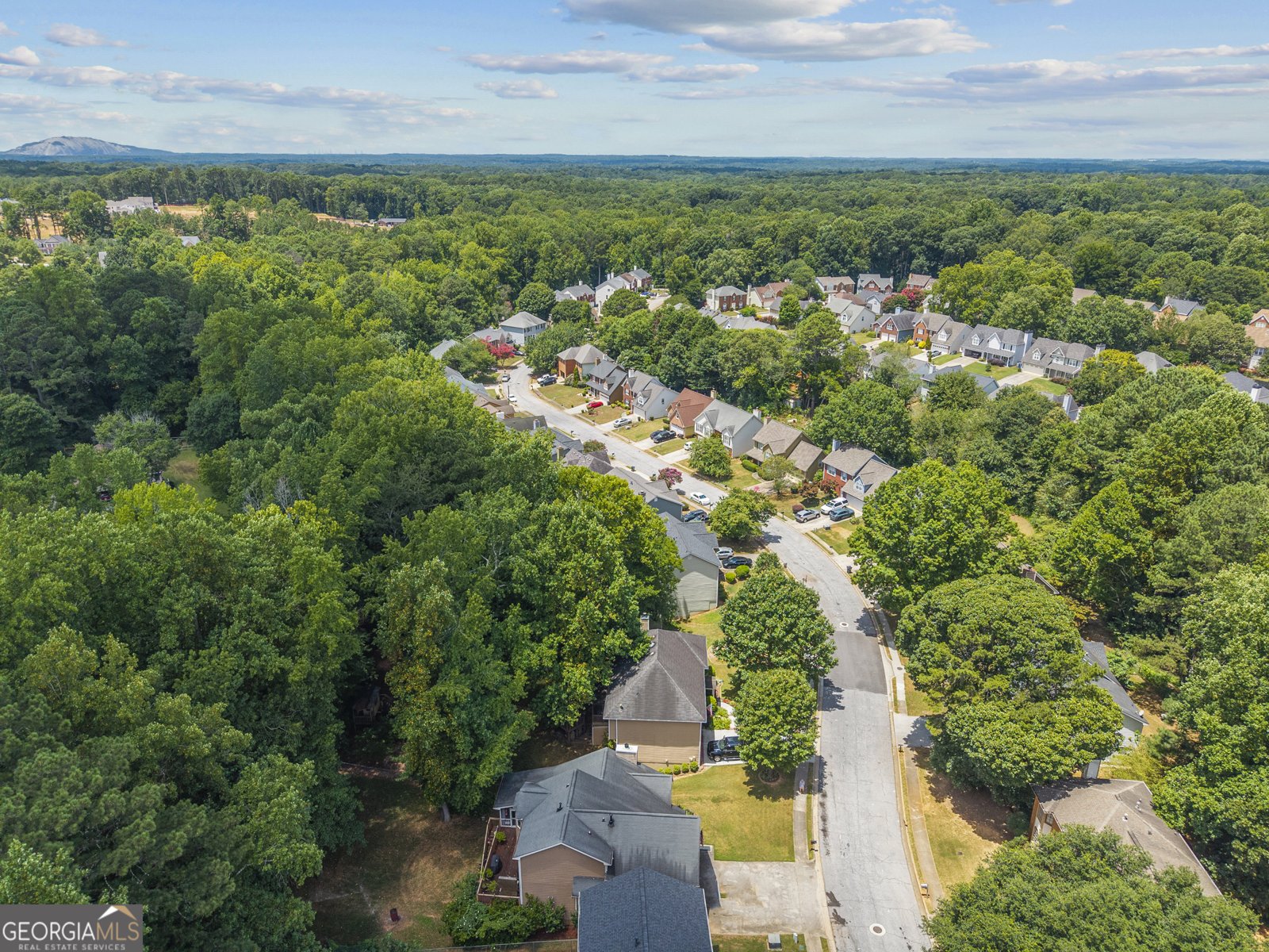 3075 Oak Meadow Drive Snellville - 40