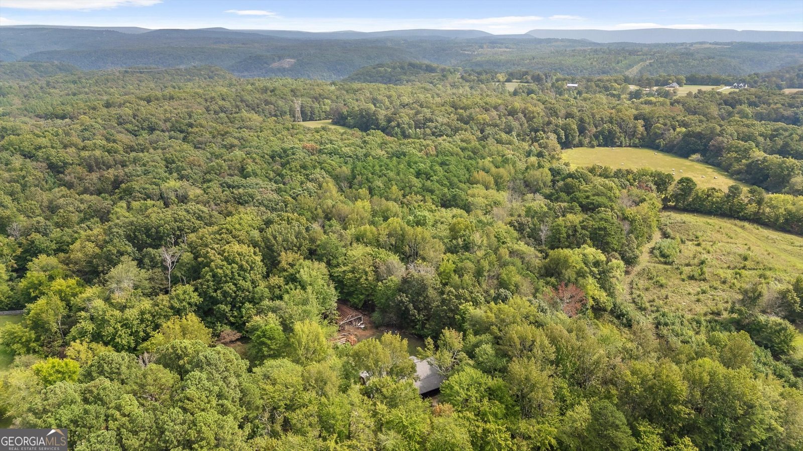 8800 Ga 301 Highway Trenton - 32