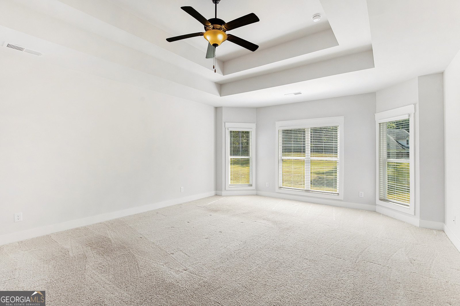 166 Belvoir Place Senoia - 17