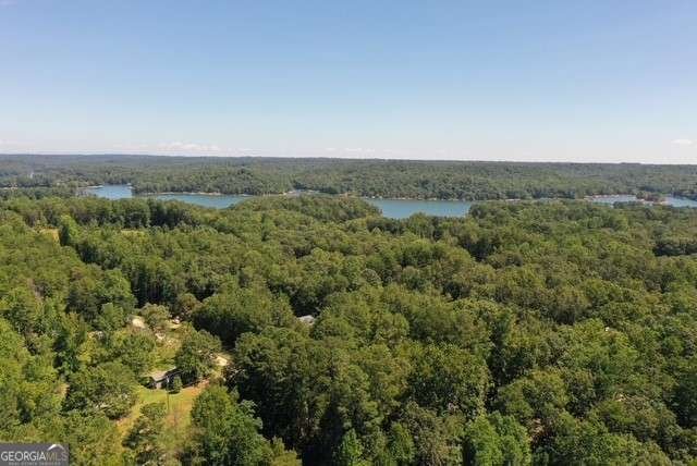 253 Trout Drive Lavonia - 34